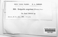 Image Associated With the Occurence
